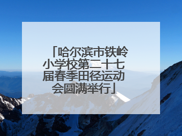 哈尔滨市铁岭小学校第二十七届春季田径运动会圆满举行