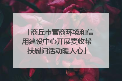 商丘市营商环境和信用建设中心开展麦收帮扶慰问活动暖人心