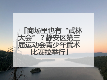 商场里也有“武林大会”？静安区第三届运动会青少年武术比赛拉举行