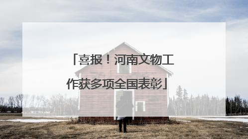 喜报！河南文物工作获多项全国表彰