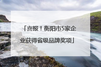 喜报！衡阳市5家企业获得省级品牌奖项