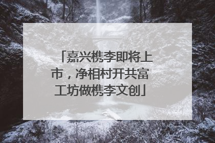嘉兴槜李即将上市，净相村开共富工坊做槜李文创