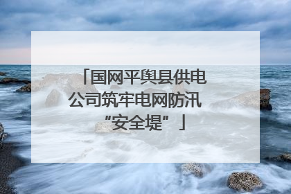 国网平舆县供电公司筑牢电网防汛“安全堤”
