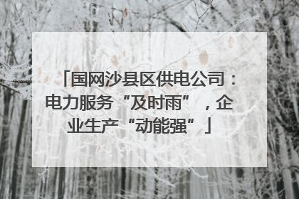 国网沙县区供电公司：电力服务“及时雨”，企业生产“动能强”