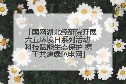 国网湖北经研院开展六五环境日系列活动 科技赋能生态保护 携手共建绿色电网