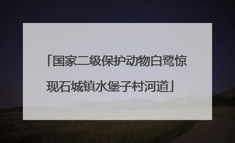 国家二级保护动物白鹭惊现石城镇水堡子村河道