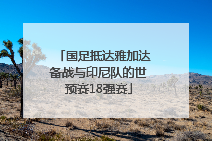 国足抵达雅加达备战与印尼队的世预赛18强赛