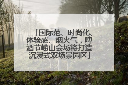 国际范、时尚化、体验感、烟火气，啤酒节崂山会场将打造沉浸式双场景园区