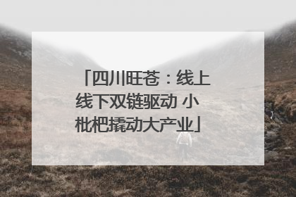 四川旺苍：线上线下双链驱动 小枇杷撬动大产业