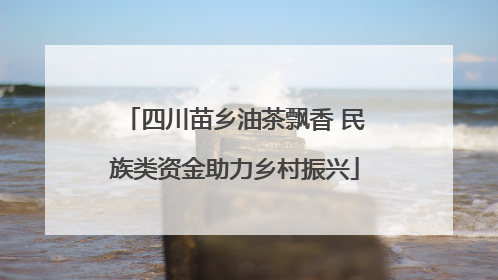 四川苗乡油茶飘香 民族类资金助力乡村振兴