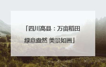 四川高县：万亩稻田绿意盎然 美景如画