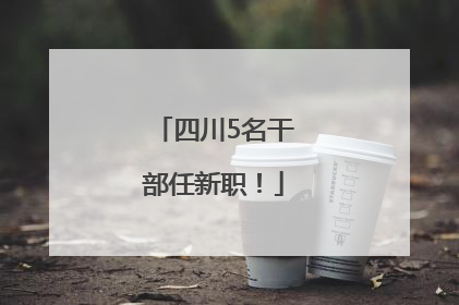 四川5名干部任新职！
