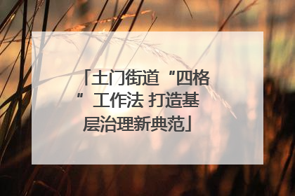 土门街道“四格”工作法 打造基层治理新典范