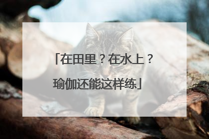 在田里？在水上？瑜伽还能这样练