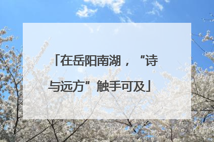 在岳阳南湖，“诗与远方”触手可及