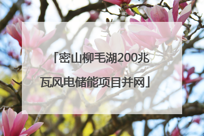 密山柳毛湖200兆瓦风电储能项目并网