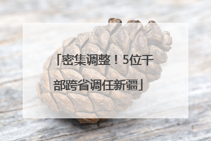 密集调整！5位干部跨省调任新疆
