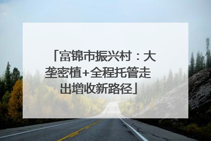 富锦市振兴村：大垄密植+全程托管走出增收新路径