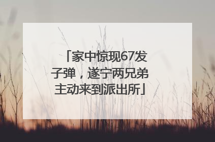 家中惊现67发子弹，遂宁两兄弟主动来到派出所