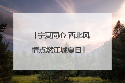 宁夏同心 西北风情点燃江城夏日