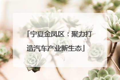 宁夏金凤区：聚力打造汽车产业新生态