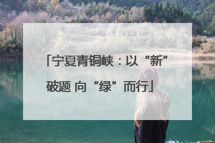 宁夏青铜峡：以“新”破题 向“绿”而行