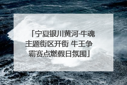 宁夏银川黄河·牛魂主题街区开街 牛王争霸赛点燃假日氛围