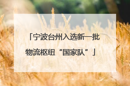宁波台州入选新一批物流枢纽“国家队”