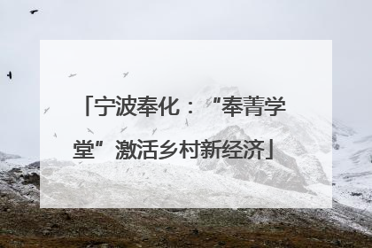 宁波奉化：“奉菁学堂”激活乡村新经济