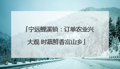 宁远鲤溪镇：订单农业兴大观 时蔬鲜香富山乡