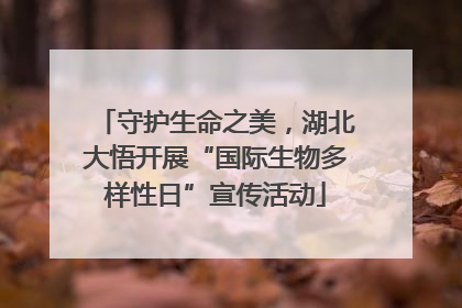 守护生命之美，湖北大悟开展“国际生物多样性日”宣传活动
