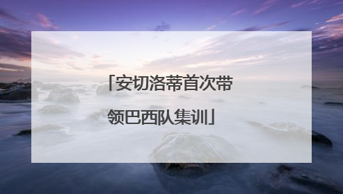 安切洛蒂首次带领巴西队集训