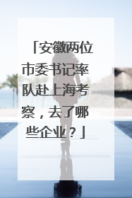 安徽两位市委书记率队赴上海考察，去了哪些企业？