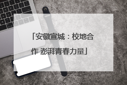 安徽宣城：校地合作 澎湃青春力量