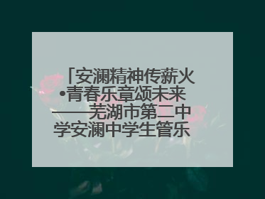 安澜精神传薪火•青春乐章颂未来——芜湖市第二中学安澜中学生管乐团第十二届公益展演圆满举行