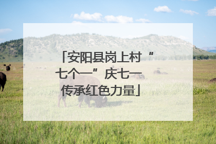安阳县岗上村“七个一”庆七一 传承红色力量