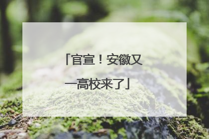 官宣！安徽又一高校来了