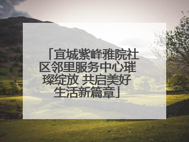 宜城紫峰雅院社区邻里服务中心璀璨绽放 共启美好生活新篇章