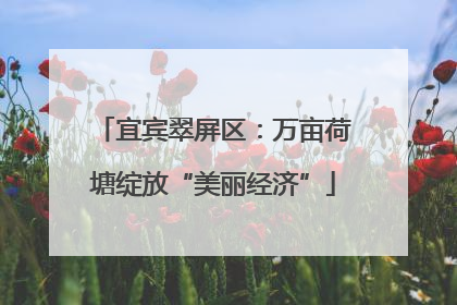 宜宾翠屏区：万亩荷塘绽放“美丽经济”