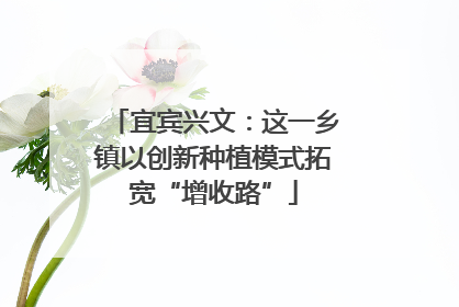 宜宾兴文：这一乡镇以创新种植模式拓宽“增收路”