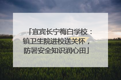 宜宾长宁梅白学校：镇卫生院进校送关怀，防暑安全知识润心田