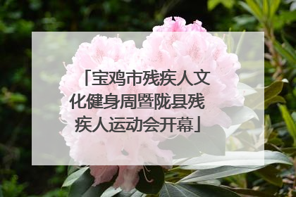 宝鸡市残疾人文化健身周暨陇县残疾人运动会开幕