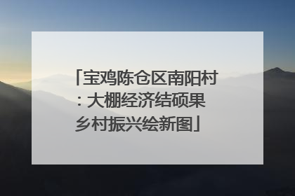 宝鸡陈仓区南阳村：大棚经济结硕果 乡村振兴绘新图