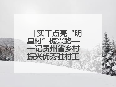 实干点亮“明星村”振兴路——记贵州省乡村振兴优秀驻村工作队员王培欢