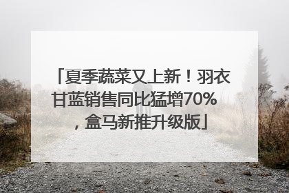 夏季蔬菜又上新！羽衣甘蓝销售同比猛增70%，盒马新推升级版