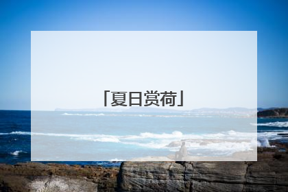 夏日赏荷