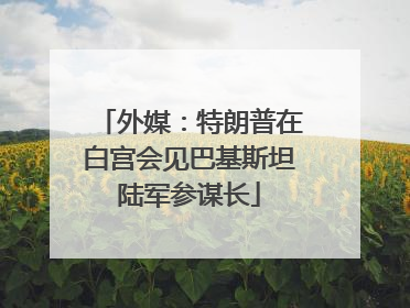 外媒：特朗普在白宫会见巴基斯坦陆军参谋长