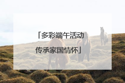 多彩端午活动 传承家国情怀