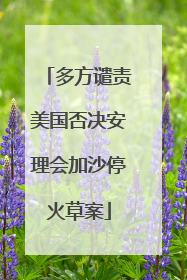 多方谴责美国否决安理会加沙停火草案