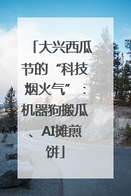 大兴西瓜节的“科技烟火气”：机器狗搬瓜、AI摊煎饼
